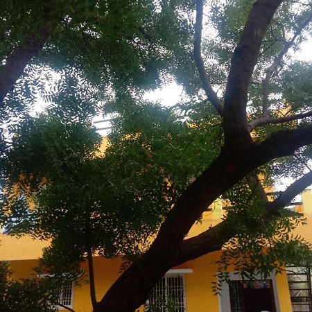 Thendral Hostel Monthly Rental Puducherry Zewnętrze zdjęcie