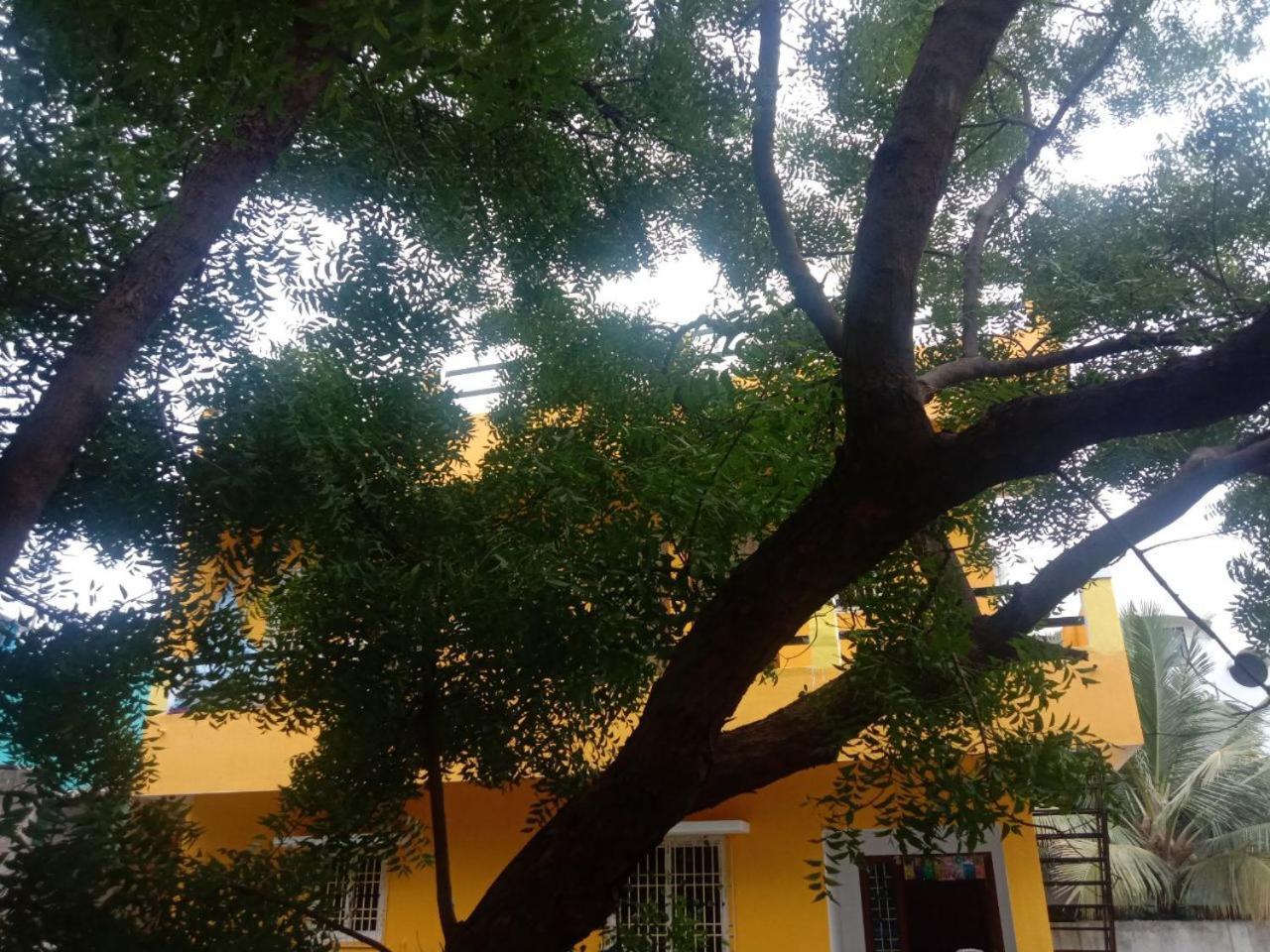 Thendral Hostel Monthly Rental Puducherry Zewnętrze zdjęcie
